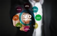 The Spider's Web Design and SEO image 2